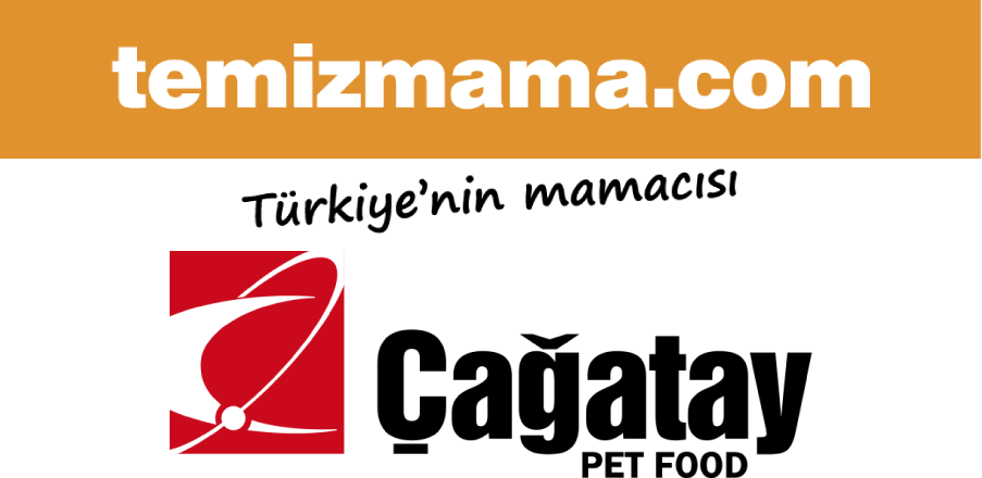 Temiz Mama - Çağatay