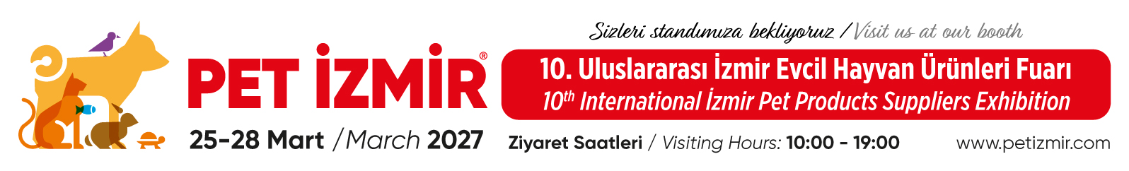 Email Signature Banner